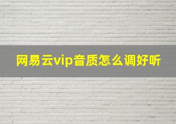 网易云vip音质怎么调好听