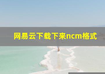 网易云下载下来ncm格式