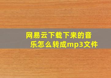 网易云下载下来的音乐怎么转成mp3文件