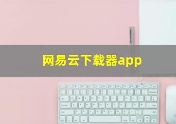 网易云下载器app