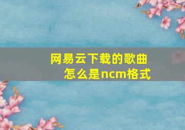 网易云下载的歌曲怎么是ncm格式