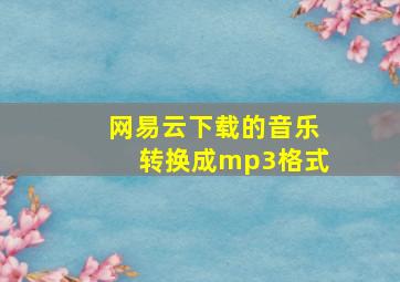 网易云下载的音乐转换成mp3格式