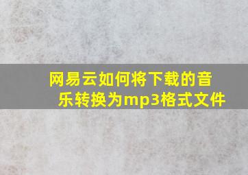 网易云如何将下载的音乐转换为mp3格式文件