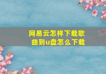 网易云怎样下载歌曲到u盘怎么下载