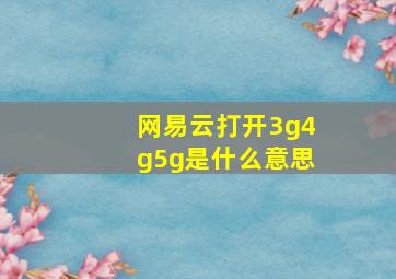 网易云打开3g4g5g是什么意思