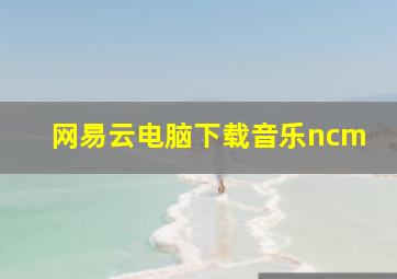 网易云电脑下载音乐ncm