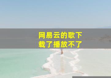 网易云的歌下载了播放不了