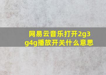 网易云音乐打开2g3g4g播放开关什么意思