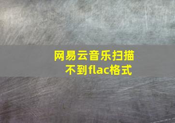 网易云音乐扫描不到flac格式