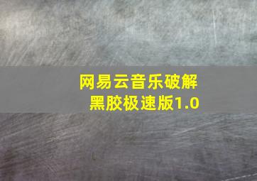 网易云音乐破解黑胶极速版1.0