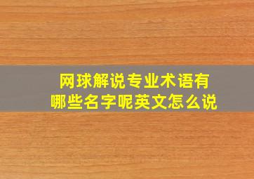 网球解说专业术语有哪些名字呢英文怎么说