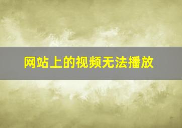 网站上的视频无法播放