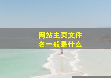 网站主页文件名一般是什么