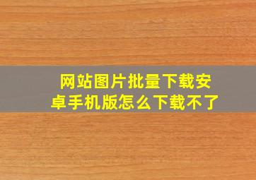 网站图片批量下载安卓手机版怎么下载不了