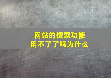 网站的搜索功能用不了了吗为什么