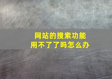 网站的搜索功能用不了了吗怎么办