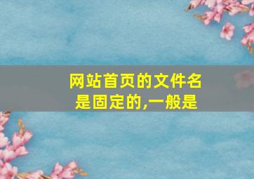 网站首页的文件名是固定的,一般是