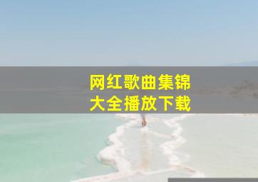 网红歌曲集锦大全播放下载