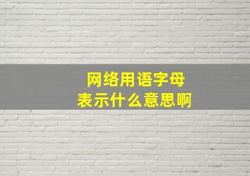 网络用语字母表示什么意思啊