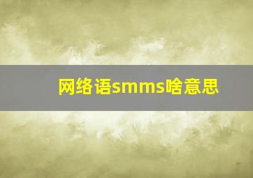 网络语smms啥意思