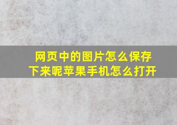 网页中的图片怎么保存下来呢苹果手机怎么打开