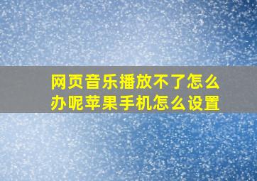 网页音乐播放不了怎么办呢苹果手机怎么设置