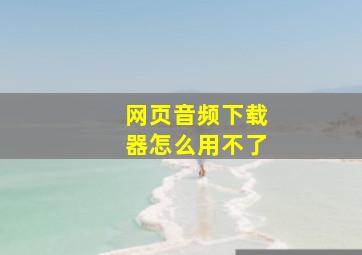 网页音频下载器怎么用不了