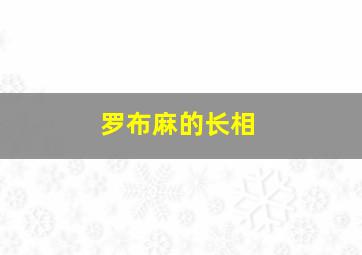 罗布麻的长相