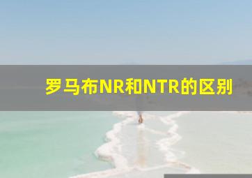 罗马布NR和NTR的区别