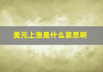 美元上涨是什么意思啊