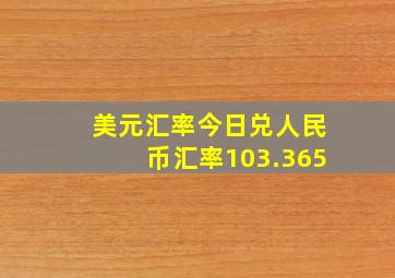 美元汇率今日兑人民币汇率103.365