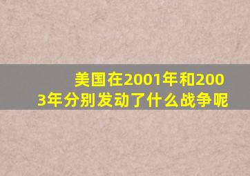 美国在2001年和2003年分别发动了什么战争呢