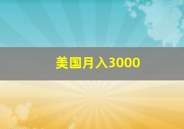 美国月入3000