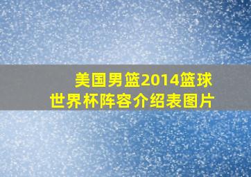 美国男篮2014篮球世界杯阵容介绍表图片