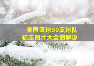 美国篮球30支球队标志图片大全图解说