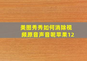 美图秀秀如何消除视频原音声音呢苹果12