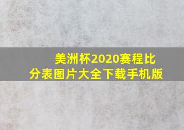 美洲杯2020赛程比分表图片大全下载手机版