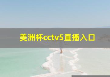 美洲杯cctv5直播入口