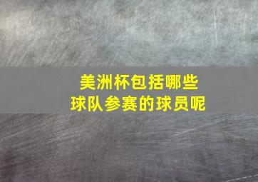 美洲杯包括哪些球队参赛的球员呢