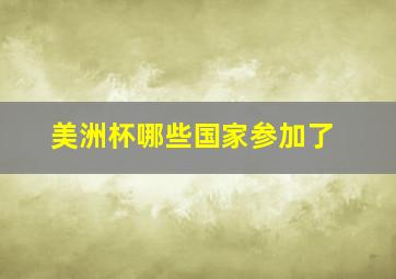 美洲杯哪些国家参加了