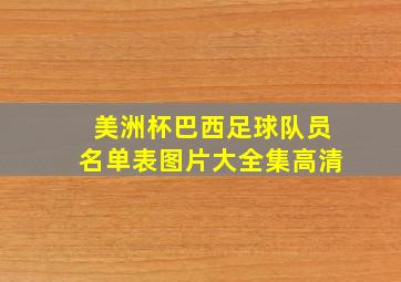 美洲杯巴西足球队员名单表图片大全集高清