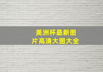 美洲杯最新图片高清大图大全