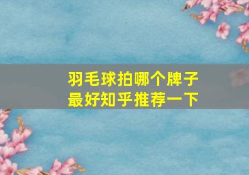 羽毛球拍哪个牌子最好知乎推荐一下