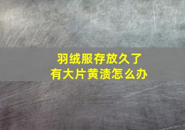 羽绒服存放久了有大片黄渍怎么办