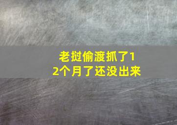 老挝偷渡抓了12个月了还没出来