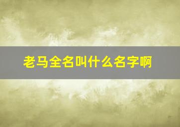 老马全名叫什么名字啊