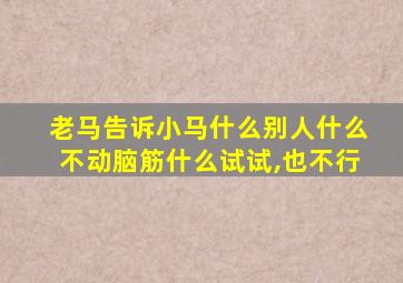 老马告诉小马什么别人什么不动脑筋什么试试,也不行