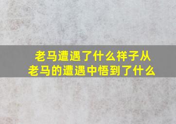 老马遭遇了什么祥子从老马的遭遇中悟到了什么