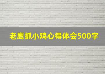 老鹰抓小鸡心得体会500字