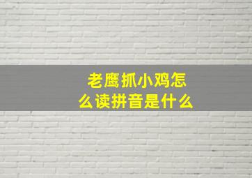 老鹰抓小鸡怎么读拼音是什么